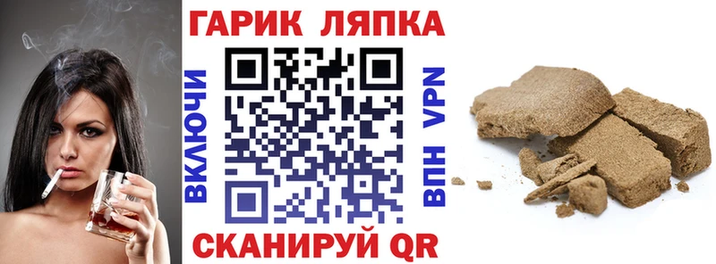 ГАШ Изолятор Елизаветинская