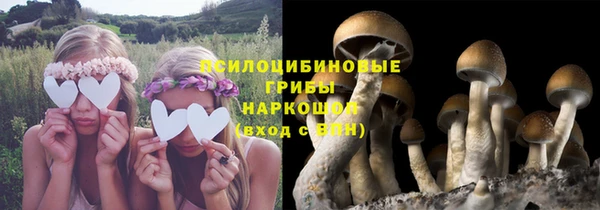 2c-b Волосово