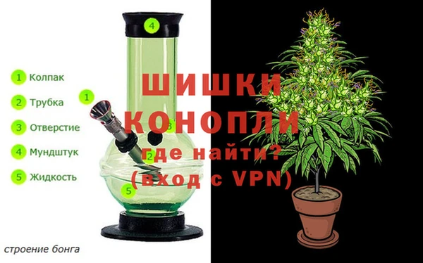 трава Волоколамск