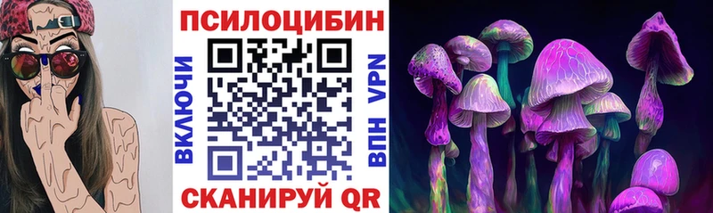 Галлюциногенные грибы прущие грибы  Елизаветинская 
